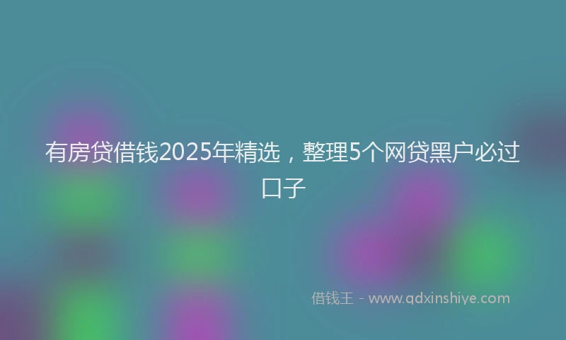 有房贷借钱2025年精选，整理5个网贷黑户必过口子