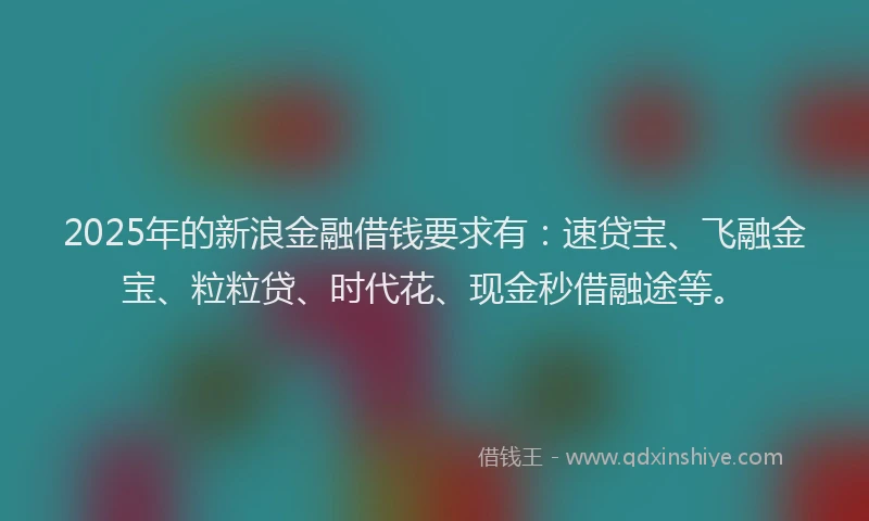 2025年的新浪金融借钱要求有：速贷宝、飞融金宝、粒粒贷、时代花、现金秒借融途等。