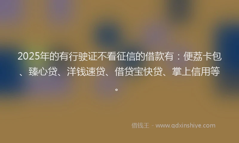 2025年的有行驶证不看征信的借款有：便荔卡包、臻心贷、洋钱速贷、借贷宝快贷、掌上信用等。