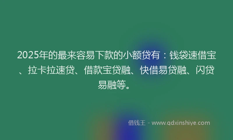 2025年的最来容易下款的小额贷有：钱袋速借宝、拉卡拉速贷、借款宝贷融、快借易贷融、闪贷易融等。