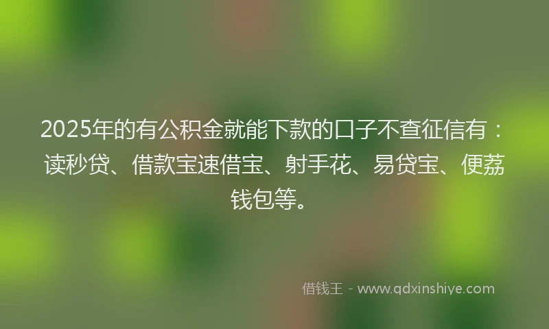 2025年的有公积金就能下款的口子不查征信有：读秒贷、借款宝速借宝、射手花、易贷宝、便荔钱包等。