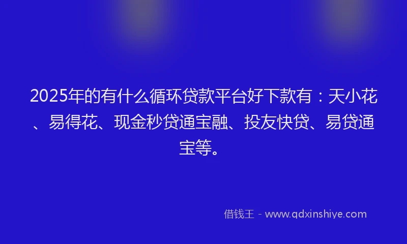 2025年的有什么循环贷款平台好下款有：天小花、易得花、现金秒贷通宝融、投友快贷、易贷通宝等。