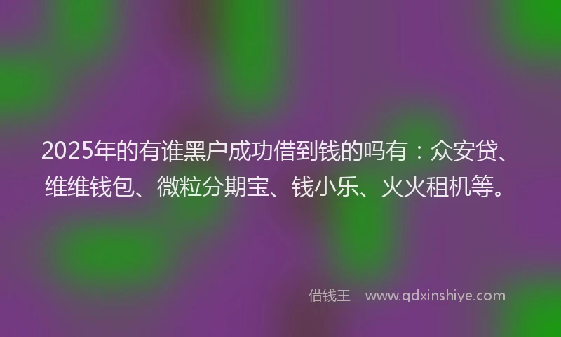 2025年的有谁黑户成功借到钱的吗有：众安贷、维维钱包、微粒分期宝、钱小乐、火火租机等。