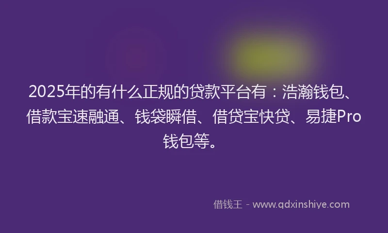 2025年的有什么正规的贷款平台有：浩瀚钱包、借款宝速融通、钱袋瞬借、借贷宝快贷、易捷Pro钱包等。