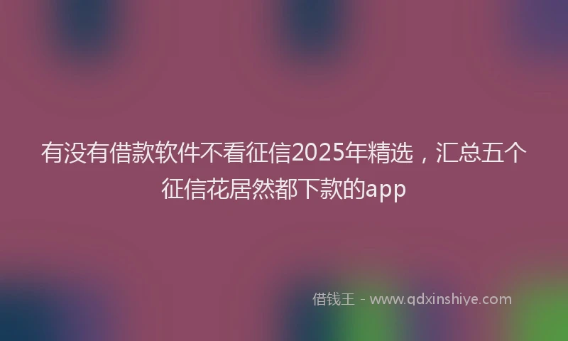 有没有借款软件不看征信2025年精选，汇总五个征信花居然都下款的app