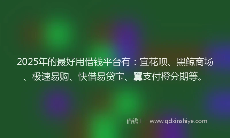 2025年的最好用借钱平台有：宜花呗、黑鲸商场、极速易购、快借易贷宝、翼支付橙分期等。