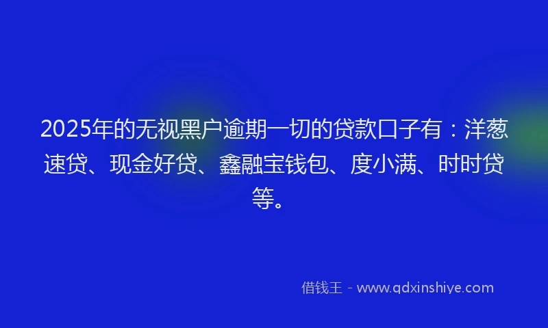 2025年的无视黑户逾期一切的贷款口子有：洋葱速贷、现金好贷、鑫融宝钱包、度小满、时时贷等。
