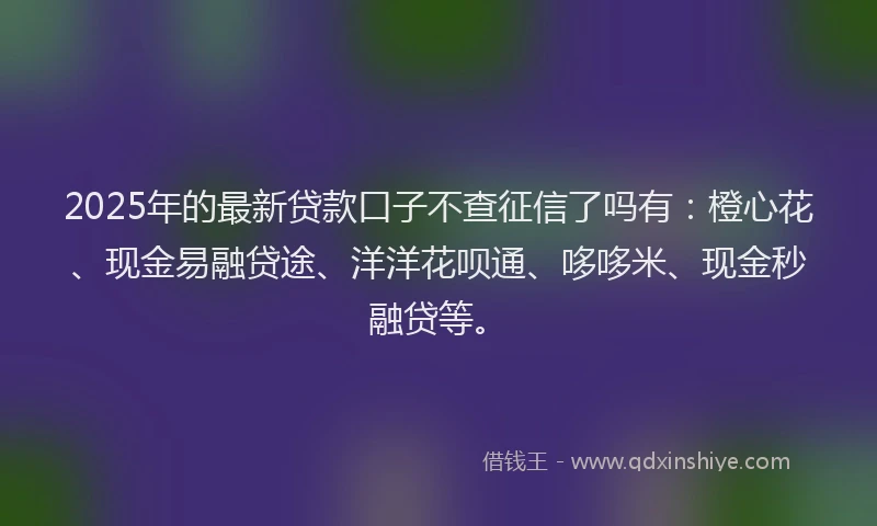 2025年的最新贷款口子不查征信了吗有：橙心花、现金易融贷途、洋洋花呗通、哆哆米、现金秒融贷等。