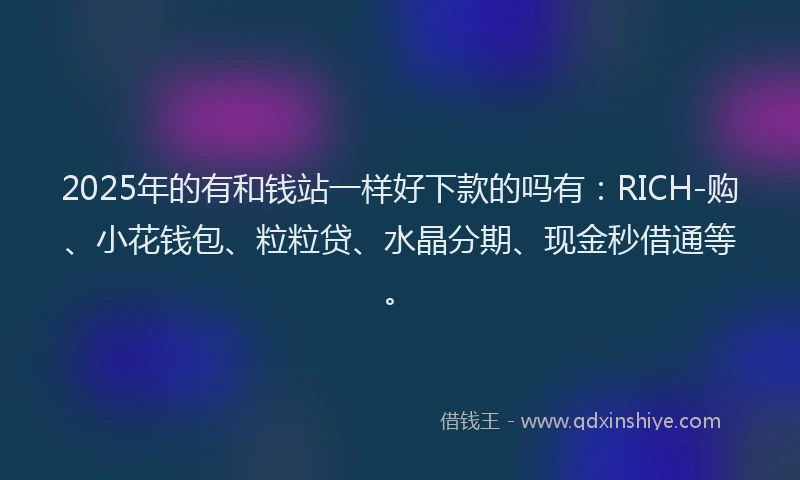 2025年的有和钱站一样好下款的吗有：RICH-购、小花钱包、粒粒贷、水晶分期、现金秒借通等。