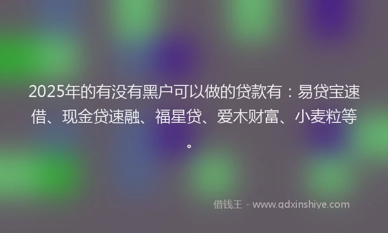2025年的有没有黑户可以做的贷款有：易贷宝速借、现金贷速融、福星贷、爱木财富、小麦粒等。