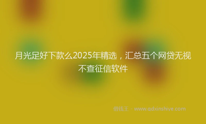 月光足好下款么2025年精选，汇总五个网贷无视不查征信软件