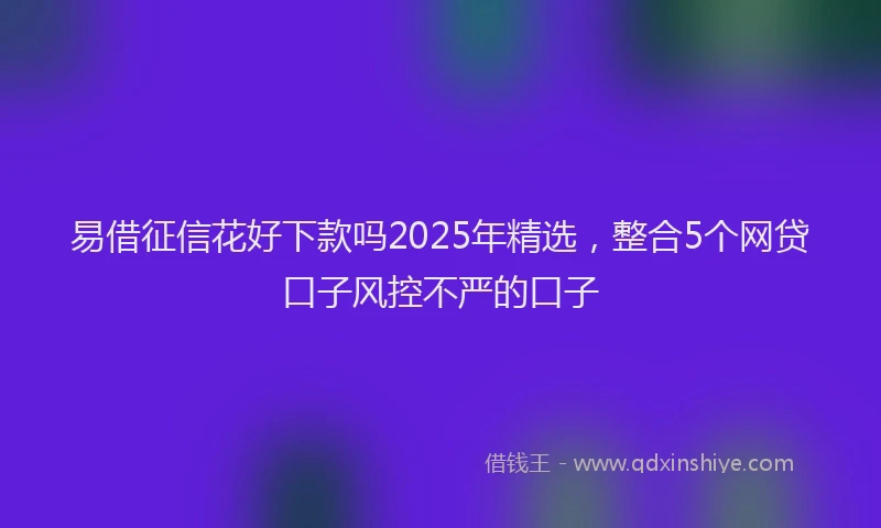 易借征信花好下款吗2025年精选，整合5个网贷口子风控不严的口子