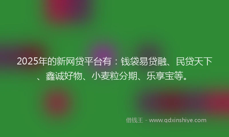 2025年的新网贷平台有：钱袋易贷融、民贷天下、鑫诚好物、小麦粒分期、乐享宝等。