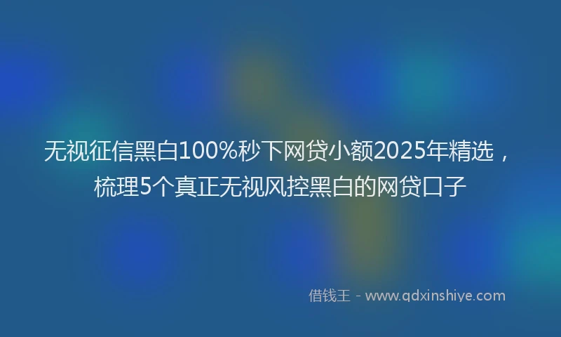 无视征信黑白100%秒下网贷小额2025年精选，梳理5个真正无视风控黑白的网贷口子