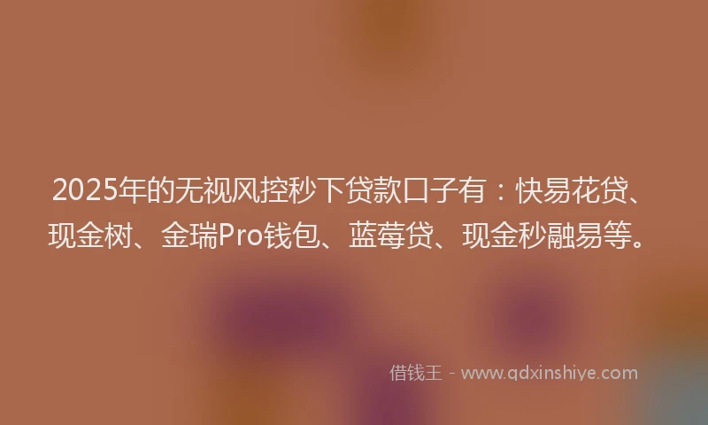 2025年的无视风控秒下贷款口子有：快易花贷、现金树、金瑞Pro钱包、蓝莓贷、现金秒融易等。