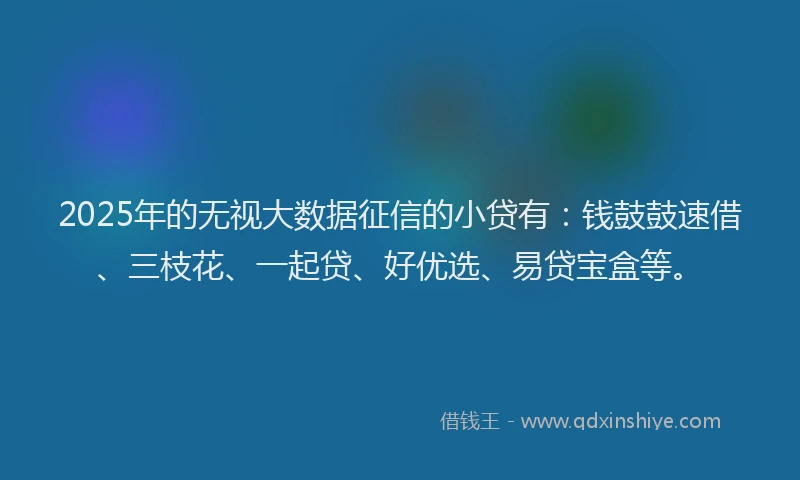 2025年的无视大数据征信的小贷有：钱鼓鼓速借、三枝花、一起贷、好优选、易贷宝盒等。