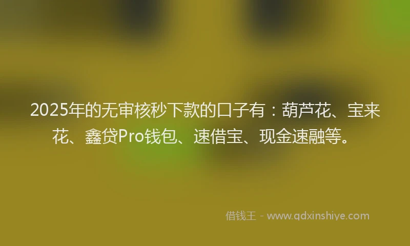 2025年的无审核秒下款的口子有：葫芦花、宝来花、鑫贷Pro钱包、速借宝、现金速融等。