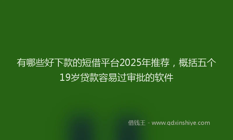 有哪些好下款的短借平台2025年推荐，概括五个19岁贷款容易过审批的软件