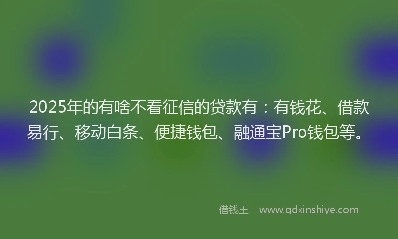 2025年的有啥不看征信的贷款有:有钱花、借款易行、移动白条、便捷钱包、融通宝Pro钱包等。