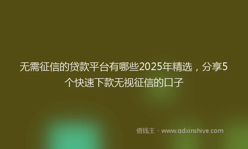 无需征信的贷款平台有哪些2025年精选，分享5个快速下款无视征信的口子