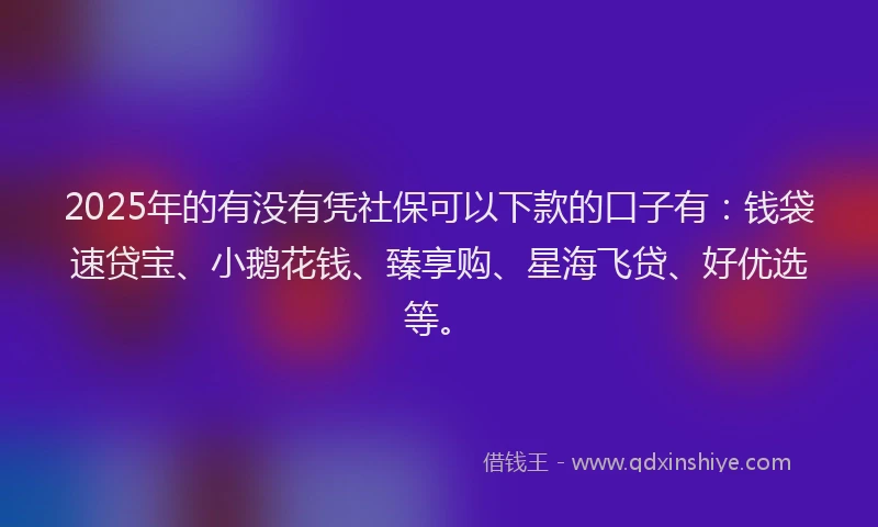 2025年的有没有凭社保可以下款的口子有：钱袋速贷宝、小鹅花钱、臻享购、星海飞贷、好优选等。
