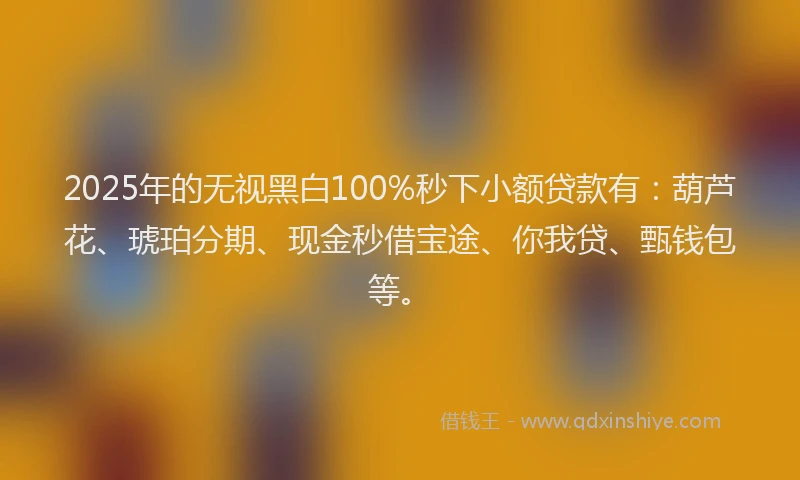 2025年的无视黑白100%秒下小额贷款有：葫芦花、琥珀分期、现金秒借宝途、你我贷、甄钱包等。