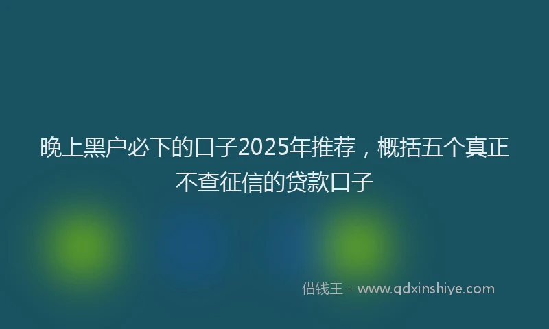 晚上黑户必下的口子2025年推荐，概括五个真正不查征信的贷款口子