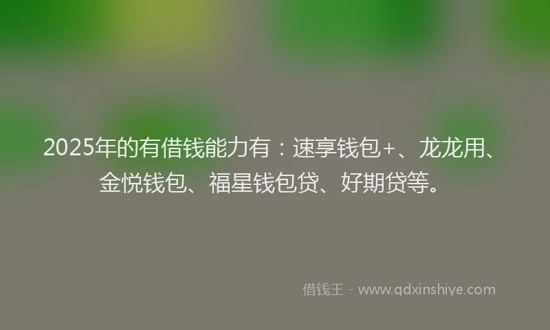 2025年的有借钱能力有：速享钱包+、龙龙用、金悦钱包、福星钱包贷、好期贷等。