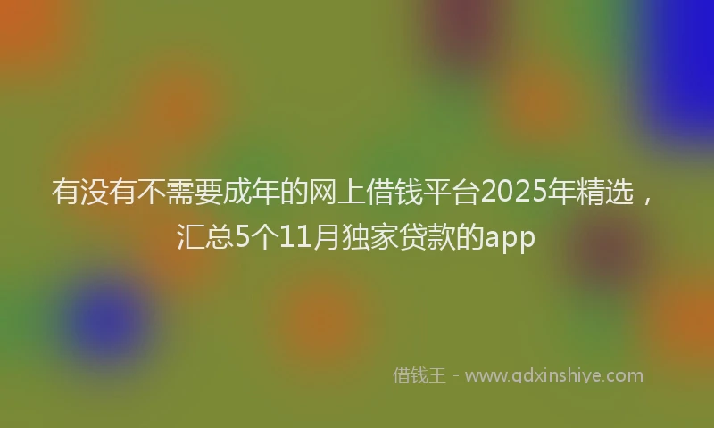 有没有不需要成年的网上借钱平台2025年精选，汇总5个11月独家贷款的app