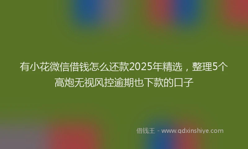 有小花微信借钱怎么还款2025年精选，整理5个高炮无视风控逾期也下款的口子