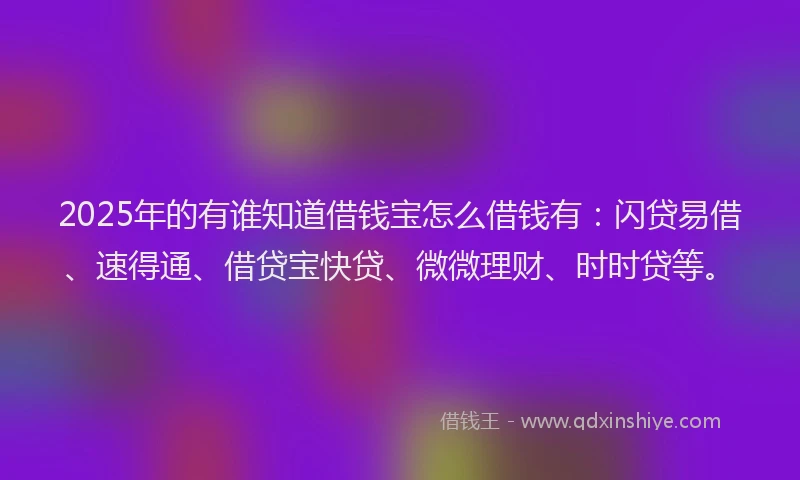 2025年的有谁知道借钱宝怎么借钱有：闪贷易借、速得通、借贷宝快贷、微微理财、时时贷等。