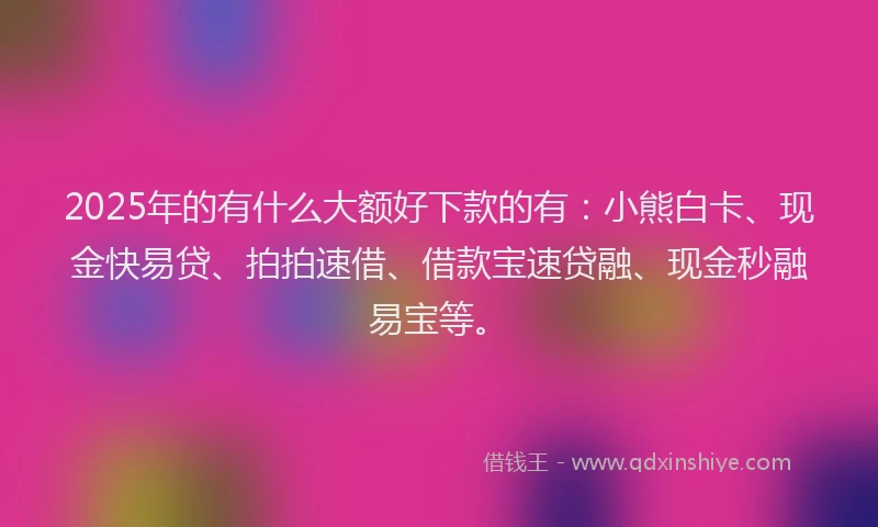 2025年的有什么大额好下款的有：小熊白卡、现金快易贷、拍拍速借、借款宝速贷融、现金秒融易宝等。