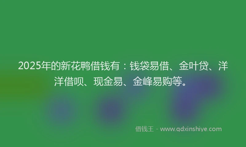 2025年的新花鸭借钱有：钱袋易借、金叶贷、洋洋借呗、现金易、金峰易购等。