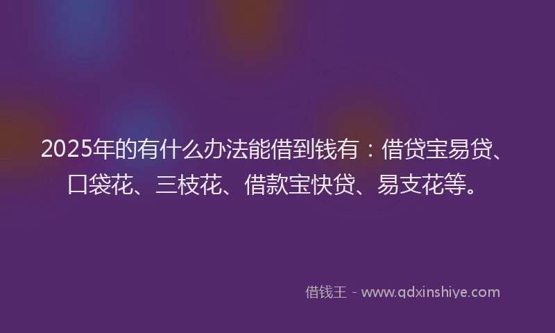2025年的有什么办法能借到钱有：借贷宝易贷、口袋花、三枝花、借款宝快贷、易支花等。