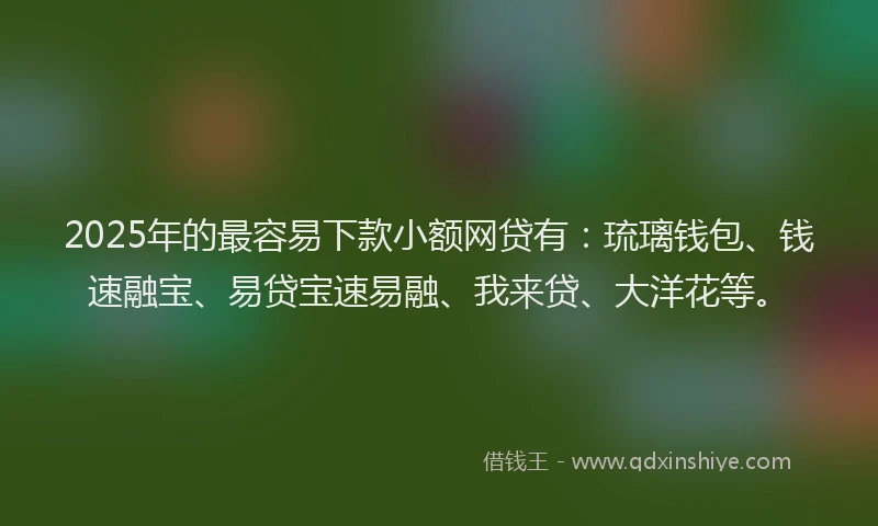 2025年的最容易下款小额网贷有：琉璃钱包、钱速融宝、易贷宝速易融、我来贷、大洋花等。
