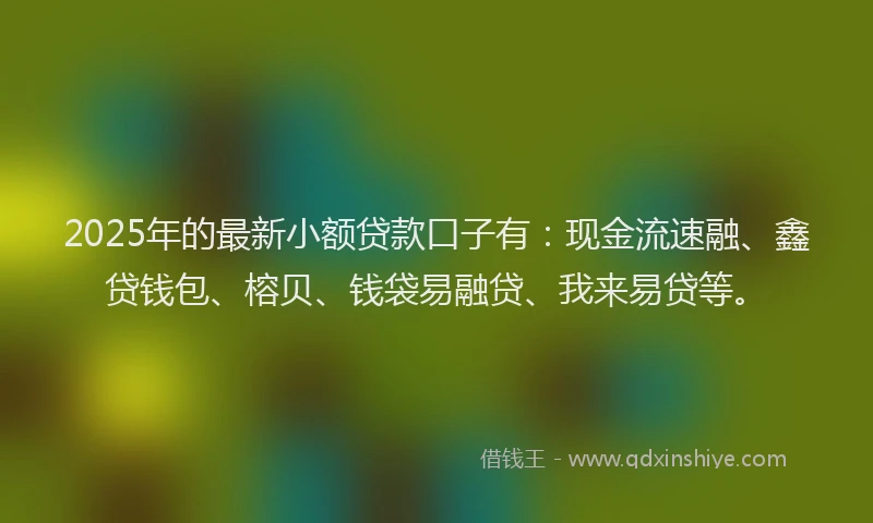 2025年的最新小额贷款口子有：现金流速融、鑫贷钱包、榕贝、钱袋易融贷、我来易贷等。