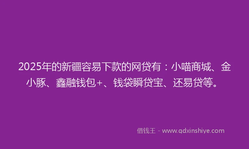2025年的新疆容易下款的网贷有：小喵商城、金小豚、鑫融钱包+、钱袋瞬贷宝、还易贷等。