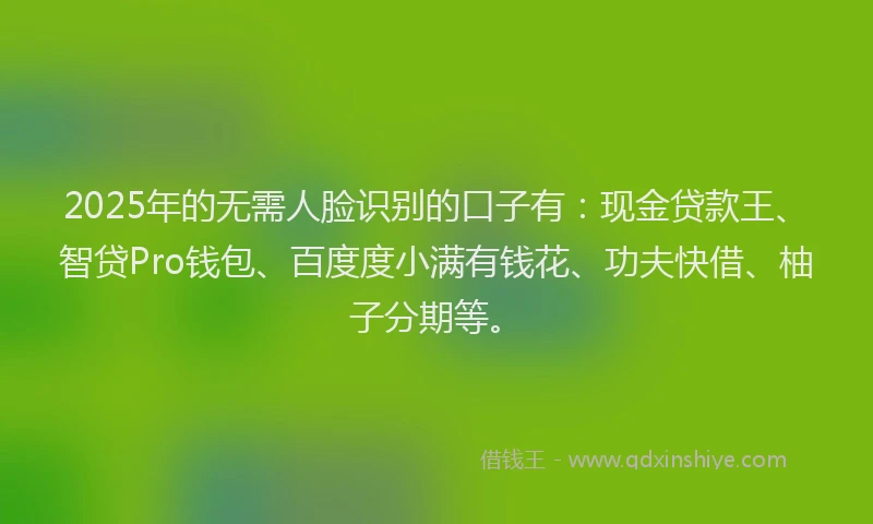 2025年的无需人脸识别的口子有：现金贷款王、智贷Pro钱包、百度度小满有钱花、功夫快借、柚子分期等。