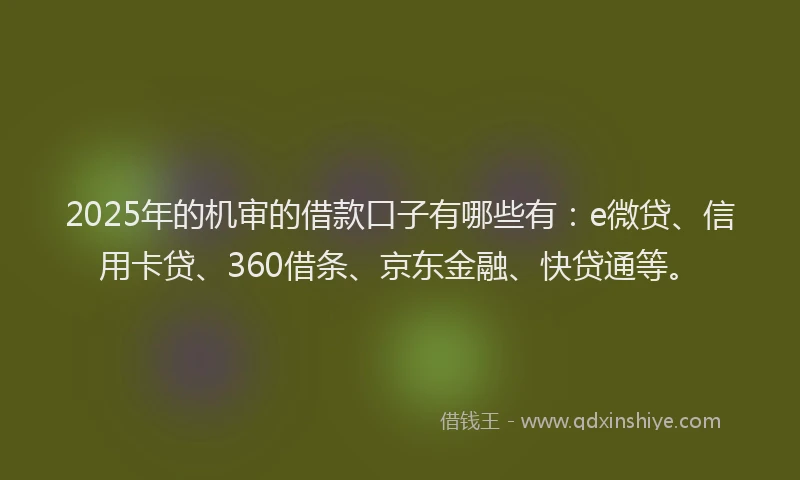 2025年的机审的借款口子有哪些有：e微贷、信用卡贷、360借条、京东金融、快贷通等。