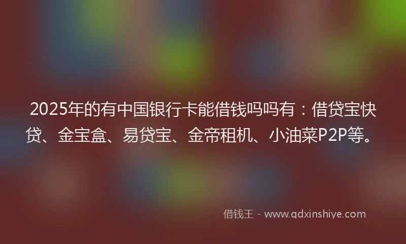 2025年的有中国银行卡能借钱吗吗有：借贷宝快贷、金宝盒、易贷宝、金帝租机、小油菜P2P等。
