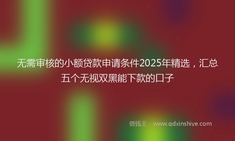 无需审核的小额贷款申请条件2025年精选，汇总五个无视双黑能下款的口子