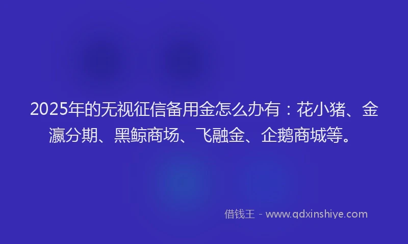 2025年的无视征信备用金怎么办有：花小猪、金瀛分期、黑鲸商场、飞融金、企鹅商城等。