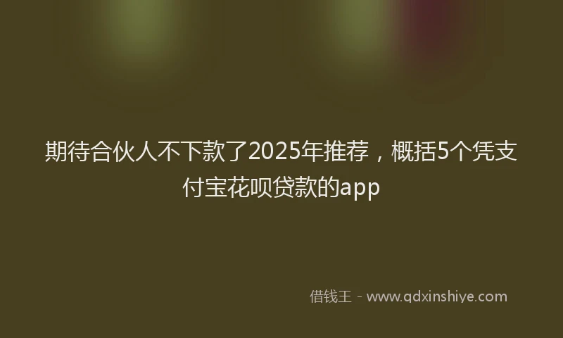 期待合伙人不下款了2025年推荐，概括5个凭支付宝花呗贷款的app