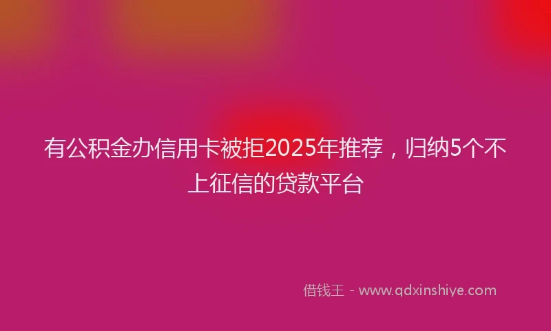 有公积金办信用卡被拒2025年推荐，归纳5个不上征信的贷款平台