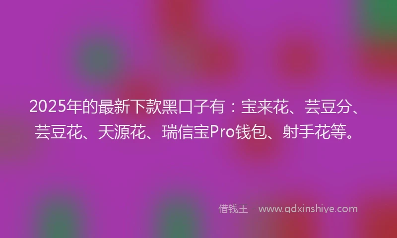 2025年的最新下款黑口子有：宝来花、芸豆分、芸豆花、天源花、瑞信宝Pro钱包、射手花等。