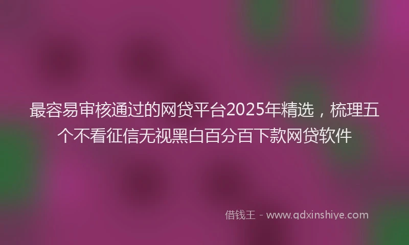 最容易审核通过的网贷平台2025年精选，梳理五个不看征信无视黑白百分百下款网贷软件