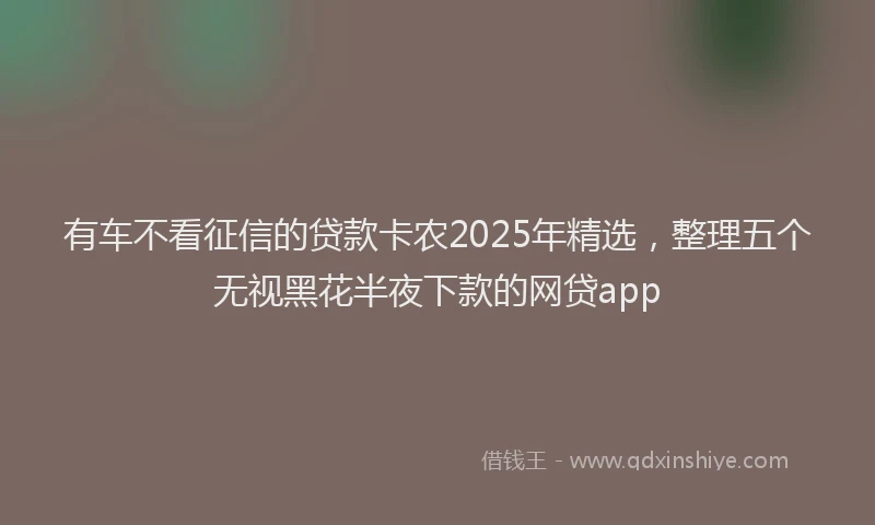 有车不看征信的贷款卡农2025年精选，整理五个无视黑花半夜下款的网贷app