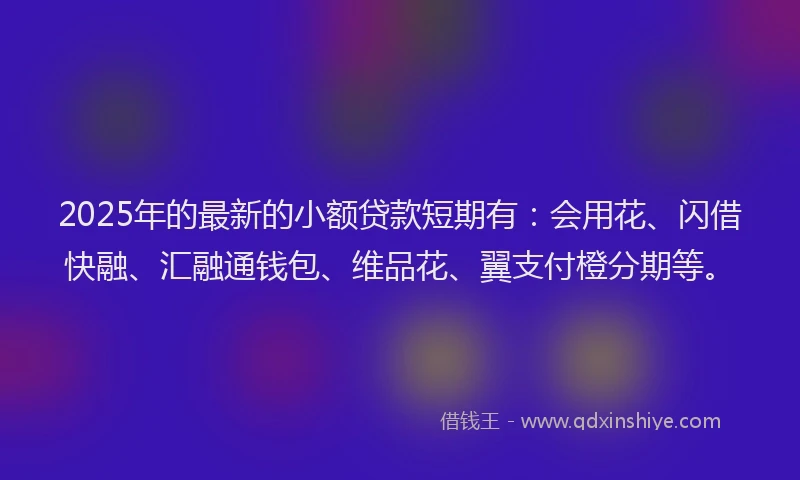 2025年的最新的小额贷款短期有：会用花、闪借快融、汇融通钱包、维品花、翼支付橙分期等。