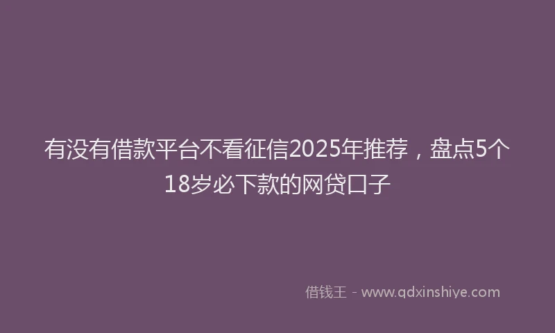 有没有借款平台不看征信2025年推荐，盘点5个18岁必下款的网贷口子