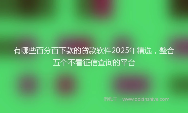 有哪些百分百下款的贷款软件2025年精选，整合五个不看征信查询的平台